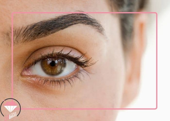 مراحل شیدینگ ابرو چیست؟ سالن زیبایی الماس نشان